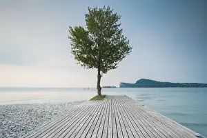 Jetty Prints: S. Feilce of the Benaco, modern jetty with green tree and lake of Garda in background; Lake of Garda