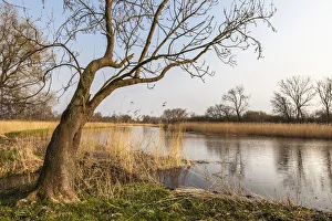 Saaler Bodden sea near Ribnitz-Damgarten, Mecklenburg-Western Pomerania, Northern Germany