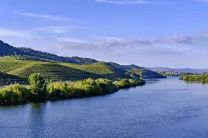 Copyspace Prints: Sabor river. Vale da Vilarica, one of the most fertile valleys in Portugal