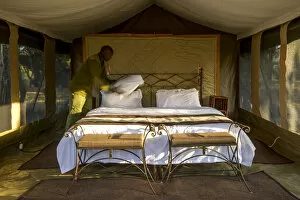 Safari Lodge Gallery: safari camp interior, Masai Mara, Kenya