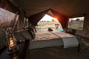 Botswana Collection: Safari tent, Moremi National Park, Okavango Delta, Botswana