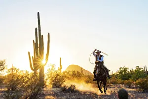 Saguaro National Park, Tuscon, Arizona, USA