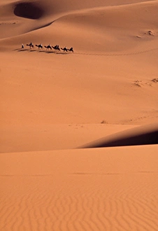 Sahara desert