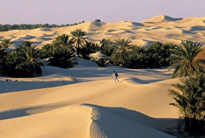 Sahara Desert