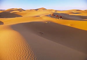 High Atlas Gallery: Sahara Desert, Morocco