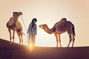 Camel Collection: Sahara desert, Morocco. Silhouette on the dunes at sunset