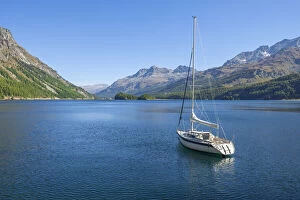 Images Dated 13th September 2021: Sailboat on Lake Sils with Corvatsch, Bernina mountain range, Upper Engadin, Grisons (Graubunden)