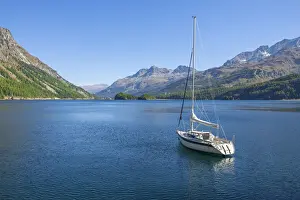 Lake Sils Prints: Sailboat on Lake Sils with Corvatsch