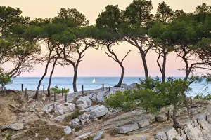 Calanques Prints: Sailboat passing Mediterranean landscape at Calanque de Sugiton at sunset, Parc National