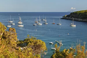 Images Dated 21st February 2022: Sailing boats in the bay of Fetovaia, Elba Island, Livorno District, Tuscany, Italy