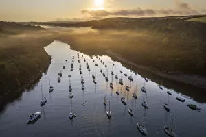 Images Dated 19th November 2020: Sailing boats moored on Pont Pill at dawn, Fowey, Cornwall, England