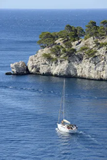 Cassis Prints: Sailing of the coast of Cassis, Provence Alpes Cote d Azur, Provence, France, Europe