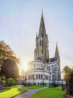Images Dated 31st March 2023: Saint Fin Barre's Cathedral at sunset, Cork, County Cork, Ireland