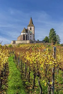 Hunawihr Prints: Saint Jacques le Majeur fortified church, Hunawihr, Haut-Rhin, Alsace, Grand Est, France
