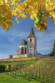 Hunawihr Prints: Saint Jacques le Majeur fortified church, Hunawihr, Haut-Rhin, Alsace, Grand Est, France