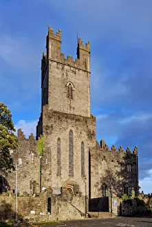 Images Dated 31st March 2023: Saint Mary's Cathedral, Limerick, County Limerick, Ireland