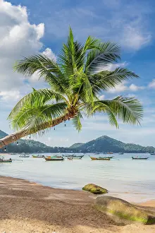 Thailand Prints: Sairee Beach, Koh Tao, Surat Thani Province, Thailand