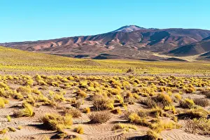 High Altitude Prints: Salar de Pocitos, Puna de Atacama, Salta, Argentina