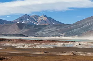 Andes Collection: Salar de Talar, Atacama Desert, Chile