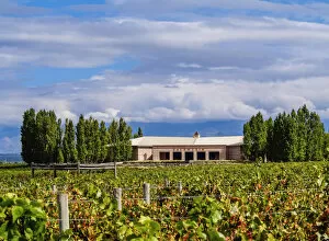 Images Dated 29th September 2017: Salentein Winery, Tunuyan Department, Mendoza Province, Argentina