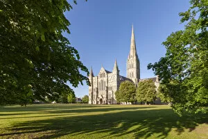 Salisbury Cathedral bathed in evening sunshine, Salisbury, Wiltshire, England