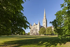 Salisbury Cathedral bathed in evening sunshine, Salisbury, Wiltshire, England Salisbury Cathedral bathed in evening sunshine, Salisbury, Wiltshire, England