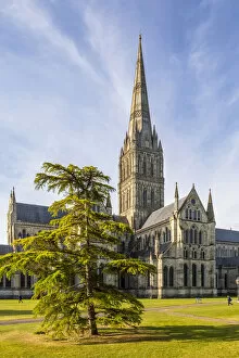 Images Dated 3rd February 2022: Salisbury Cathedral, Salisbury, Wiltshire, England, United Kingdom