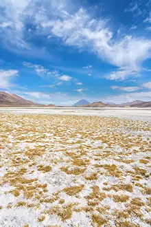Arequipa Region Prints: Salt flats with grass and distant views of El Misti and Chachani volcanoes