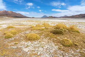 Arequipa Region Prints: Salt flats with grass and distant views of El Misti and Chachani volcanoes
