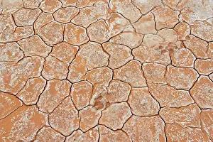Bleak Prints: Salt flats at Grosbeak Lake- Patterns in cracked mud with salt deposits and ungulate track