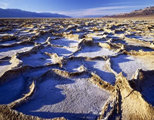Salt Flat Collection: Salt Polygons, Bad Water, Death Valley National Park, California, USA