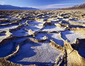 Expanse Prints: Salt Polygons, Bad Water, Death Valley National Park, California, USA