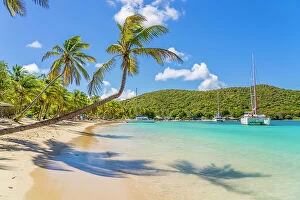 Images Dated 5th April 2023: Salt Whistle bay Beach, Mayreau Island, in the Tobago cays in the Grenadines Islands