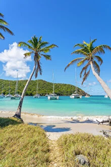 Images Dated 5th April 2023: Salt Whistle bay Beach, Mayreau Island, in the Tobago cays in the Grenadines Islands