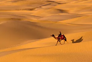 Escape Prints: Sam Sand Dunes, Rajasthan, India, Asia