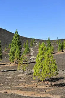 Covers Prints: Samara volcano in the Teide National Park (Parque Nacional del Teide)