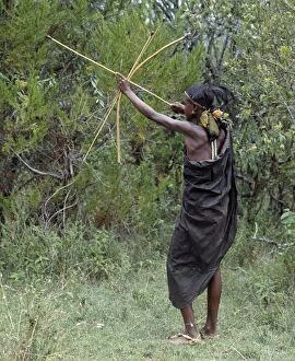 African Custom Gallery: A Samburu initiate takes aim at a bird with a blunt arrow
