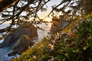 Samuel S. Boardman State Park, Oregon, USA