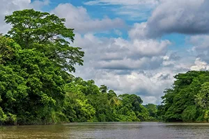 San Carlos River Prints: San Carlos River, Costa Rica