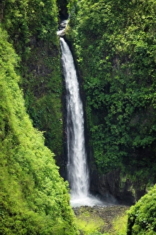 Costa Rican Prints: San Fernando waterfall, Alajuela Province, Costa Rica