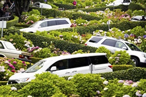 Tourist Collection: San Francisco, California, USA. view of the world famous Lombard Street with cars