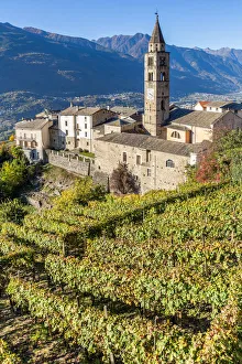 Grape Prints: San Giorgio Church, Montagna in Valtellina, Sondrio, Lombardy, Italy
