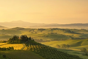 Belvedere Prints: San Quirico d Orcia, Tuscany, Italy