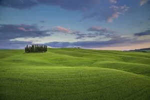 Tuscany Gallery: San Quirico d Orcia, Tuscany, Italy. Cypresses at sunset