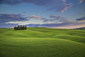 San Quirico d Orcia, Tuscany, Italy. Cypresses at sunset