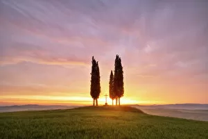 Admire Gallery: San Quirico d'Orcia during a spring sunrise, San Quirico d'Orcia, Siena Province, Tuscany, Italy