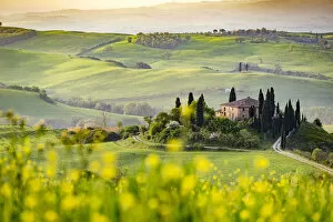 Images Dated 5th August 2016: San Quirico, Val d Orcia, Tuscany. Italy