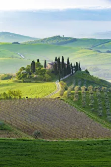 Valdorcia Prints: San Quirico, Val d Orcia, Tuscany. Italy