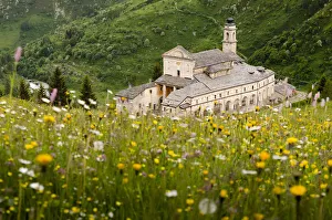 Daisy Prints: Sanctuary in Grana Valley with a flowery meadow, Castelmagno, Piedmont, Italy