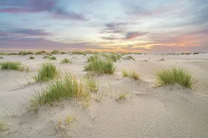 Sand dune landscape at sunrise, Wittdun, UNESCO, Amrum island, Nordfriesland, Schleswig-Holstein, Germany